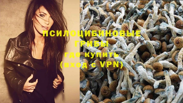 MDMA Premium VHQ Ельня