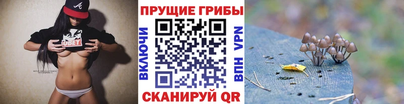 Купить  Муравленко  Галлюциногенные грибы мухоморы 